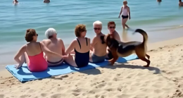 Bir grup arkadaş sahilde