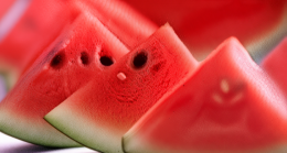 Karpuz Çekirdeğinin