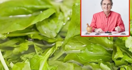 Prof. Dr. açıkladı