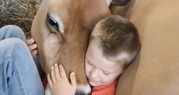 Küçük kardeşim yatağında uyumayı reddediyor