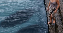 Tatil sırasında bir kadın, arka planda deniz olan bir fotoğraf çekmek istedi, ancak tam o anda suyun altında bir dokunuş hissetti.