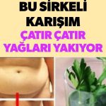 Kilo Vermek Istiyorsanız Ve Karın Bölgenizde Yağlanma