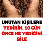 Ayrıca Zihnin Temeli Olan Beynimizi Korumak