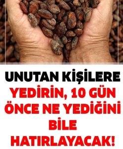 Ayrıca Zihnin Temeli Olan Beynimizi Korumak