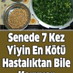 Akdeniz Bölgesine Ait Bir Bitki