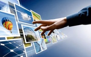 Antoryum, çiçek Dalları Ile Nasıl Hızlı Bir şekilde çoğaltılır – Fidanlıklar Bunu Yapar