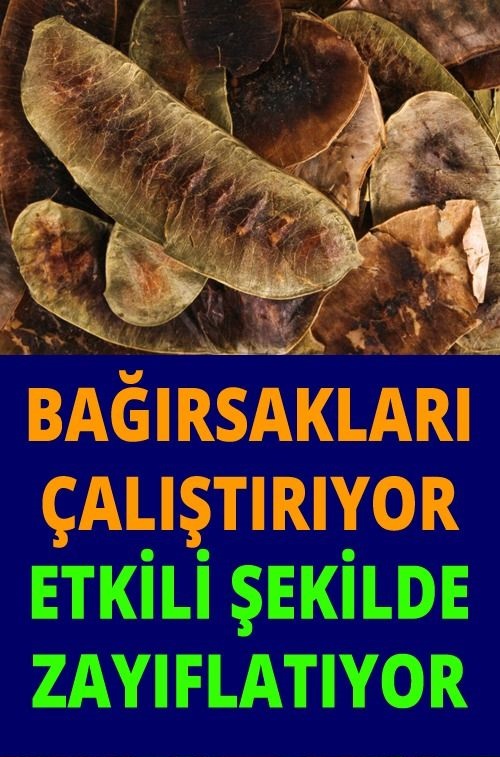 Devegözü Ve Aşrık Otu