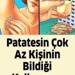 Hiç Bilmediğimiz Alanlarda Da Kullanılan Bu Sebze