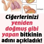 İlaçlar Yetmemeye Hastalıklar Artmaya