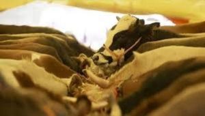 İlimizin Başarılı Iş Insanlarından