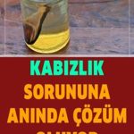 Meydana Gelen Ve Boşaltım Sisteminin