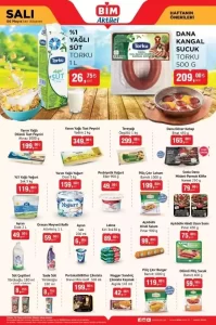 2025 Tarihlerinde Satisa