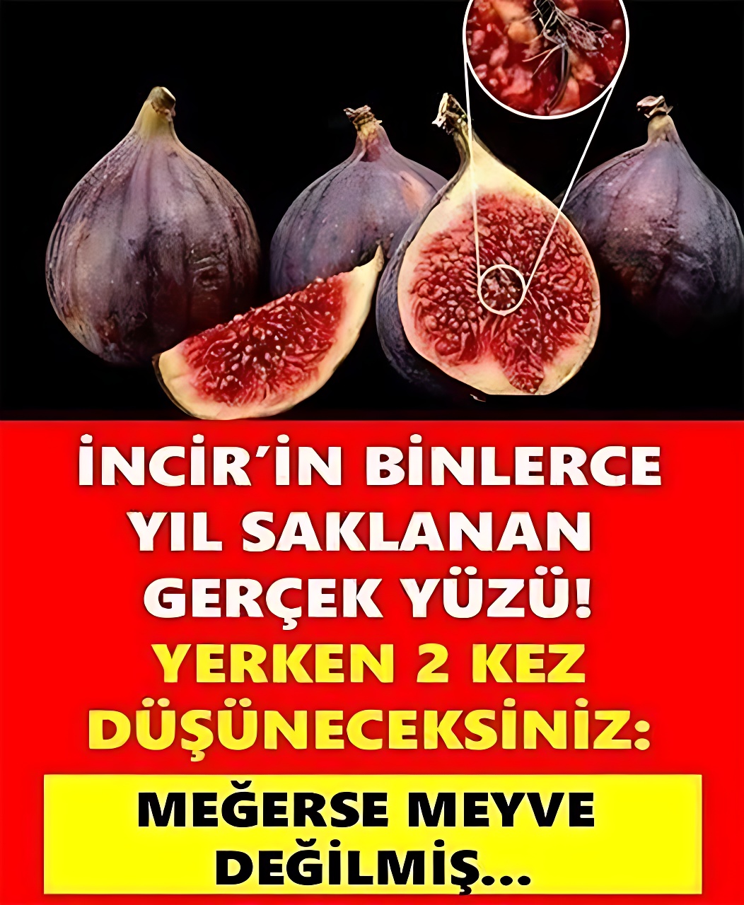 İnciri 1 Gün Bekletin